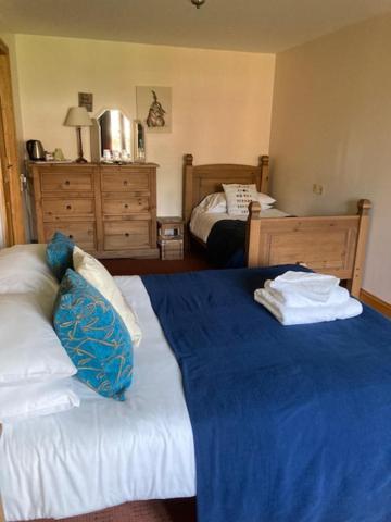 The George Inn & Millingbrook Lodge Ltd Lydney Exteriör bild
